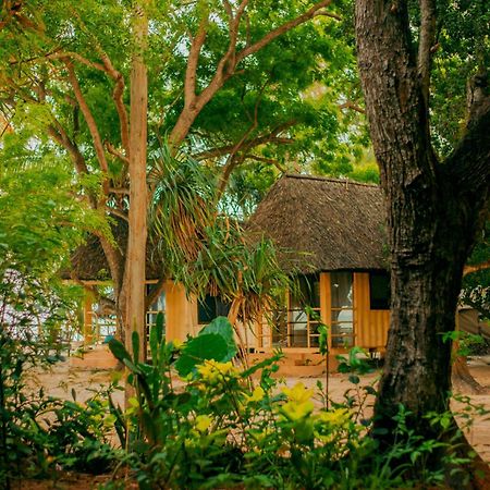 Mikadi Beach Camp & Backpackers Hostel Дар ес Саалам Екстериор снимка